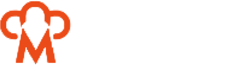 Ningbo Magichef Electric Appliance Co.,Ltd.